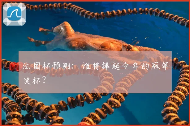 法国杯预测：谁将捧起今年的冠军奖杯？