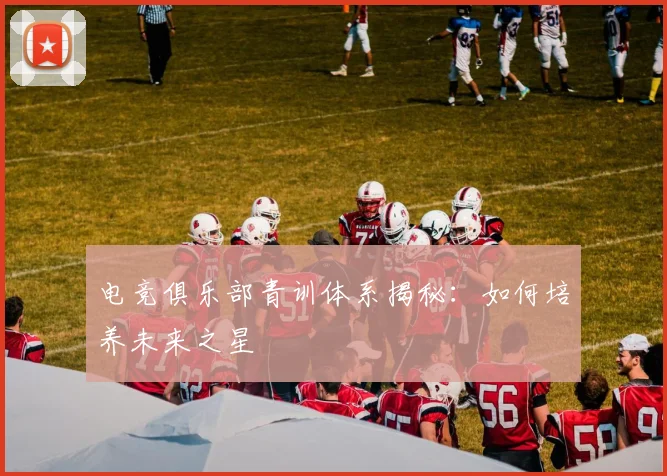 电竞俱乐部青训体系揭秘:如何培养未来之星