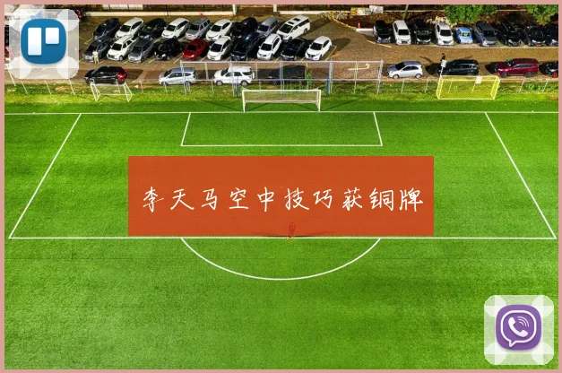 李天马空中技巧获铜牌