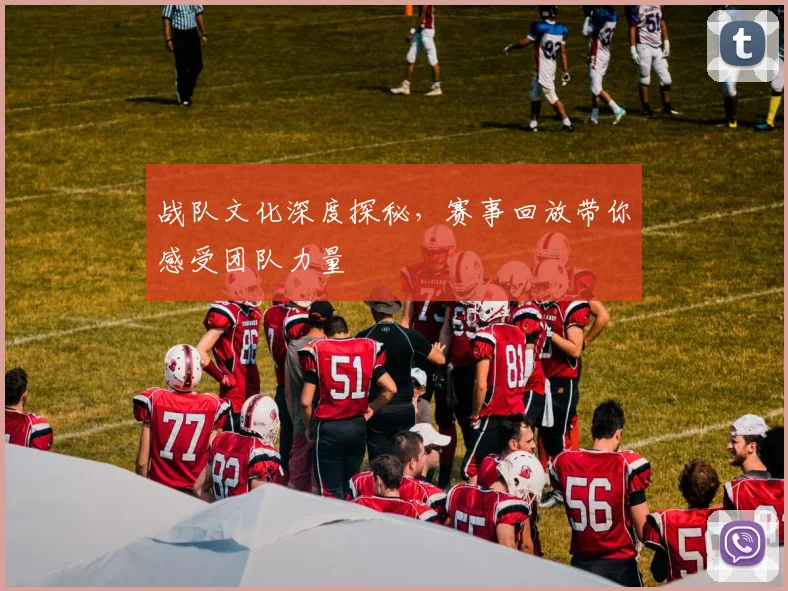 战队文化深度探秘，赛事回放带你感受团队力量