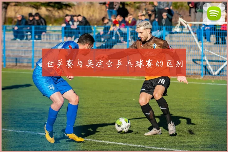 世乒赛与奥运会乒乓球赛的区别