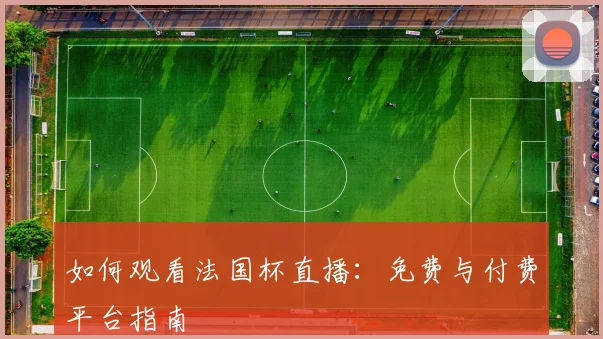 如何观看法国杯直播:免费与付费平台指南
