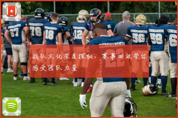 战队文化深度探秘,赛事回放带你感受团队力量