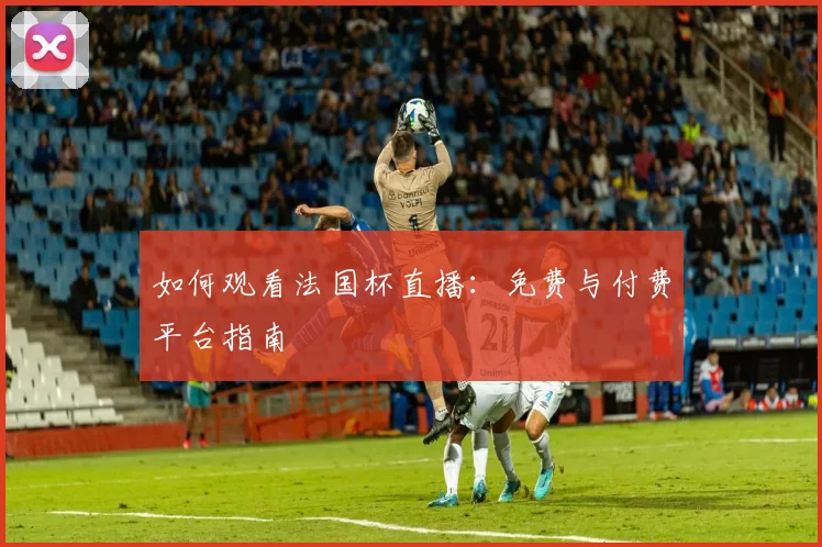 如何观看法国杯直播:免费与付费平台指南