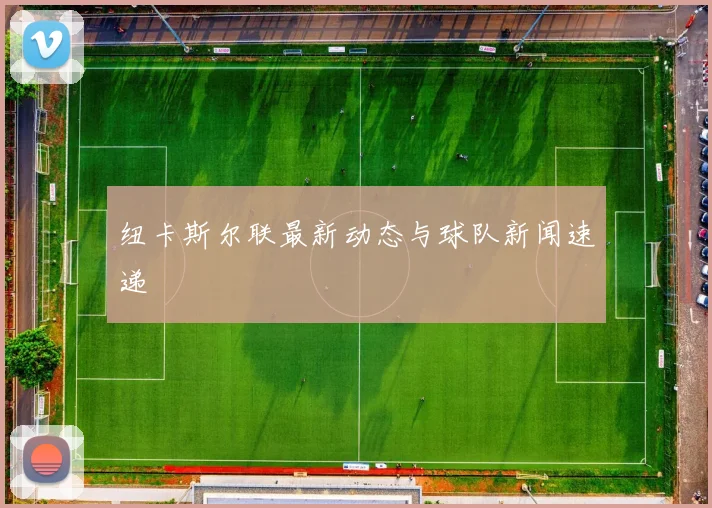 纽卡斯尔联最新动态与球队新闻速递