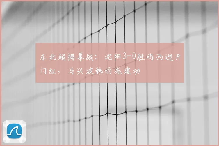 东北超揭幕战:沈阳3-0胜鸡西迎开门红,马兴波韩雨亮建功